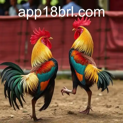 The Tradition and Controversy of Cockfighting